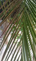IMAG0594.webp