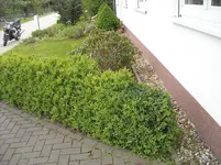 DSCN1464.webp
