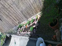 k-IMAG0022.webp
