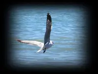 Copy (3) of IMG_2278v.webp