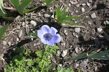 Garten 4 2012 3 023.webp