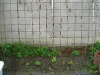 DSC00169.webp