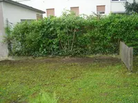 DSC00166.webp