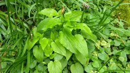 DSCN2503.webp