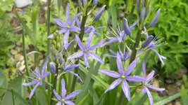 DSCN2475.webp