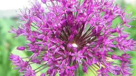 DSCN2476.webp