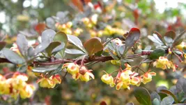 DSCN2483.webp