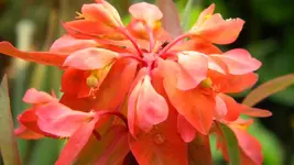 DSCN2489.webp
