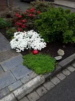 2012-05-05 17.11.08.webp