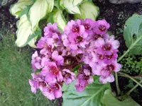 2012-05-05 17.12.30.webp
