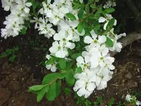 040.webp