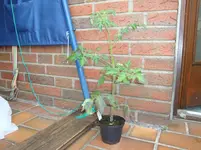 DSC01982.webp