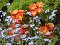 089.webp