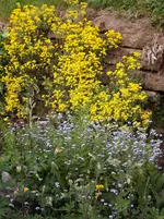 102.webp