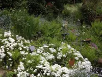 121.webp