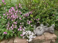 123.webp