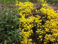 134.webp