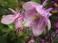 141.webp