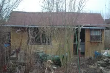 garten 1.webp