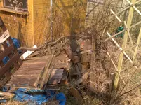 garten 4.webp