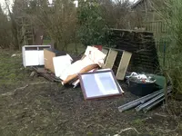 garten 5.webp