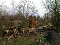 garten 9.webp