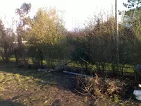 garten 13.webp