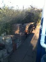garten 14.webp