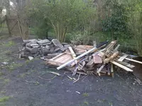 garten 16.webp