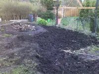 garten 17.webp