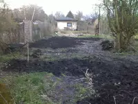 garten 18.webp