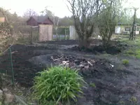 garten 19.webp
