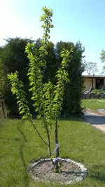 01052012570.webp