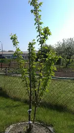 01052012571.webp