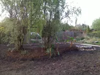 bild 6.webp