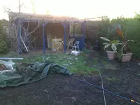 bild 8.webp