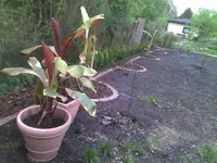 bild 9.webp