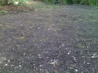 bild 17.webp