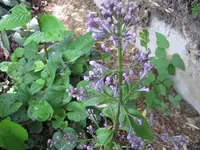 2012_05050004-1a.webp