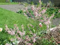 P4280194.webp