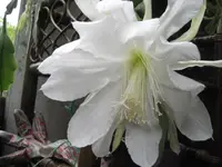 IMG_8567.webp