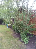 2012-05-06 13.13.54.webp