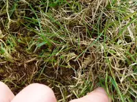 25.04.2012.webp