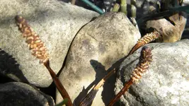 DSCN2463.webp
