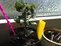 03052012910.webp