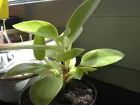 03052012914.webp