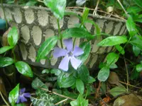 CIMG7169.webp