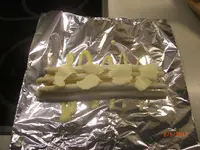CIMG2891.webp