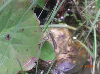CIMG2883.webp