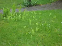 DSC02746.webp